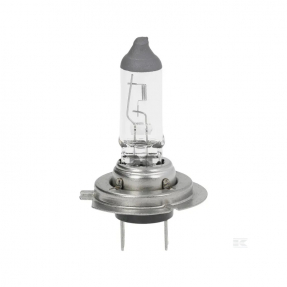 Ampoule 12V 55W H7